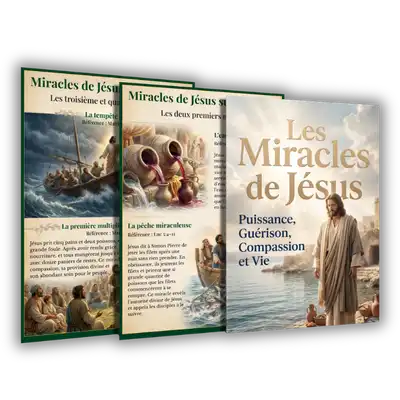 Bonus : Miracles de Jésus